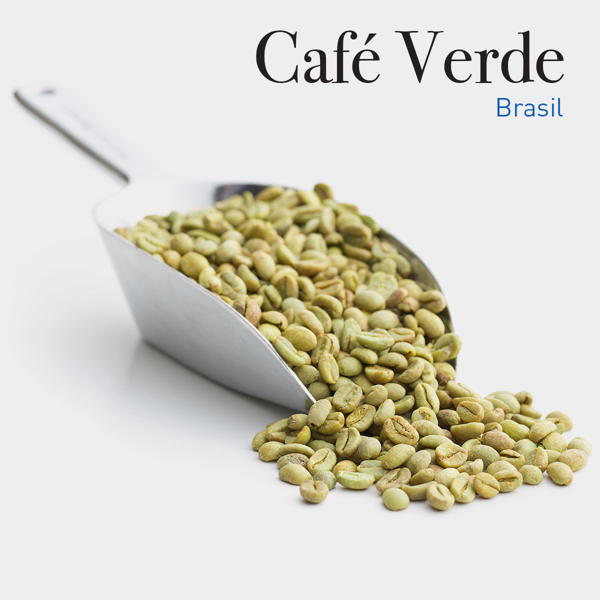 Café Tostado Natural en grano Brasilia